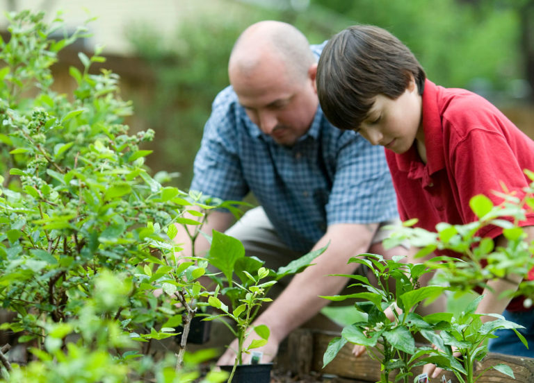 Growing with Kids: The Magic of Gardening