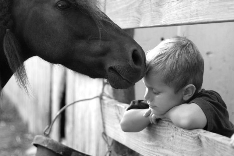 What Horses Can Teach Kids