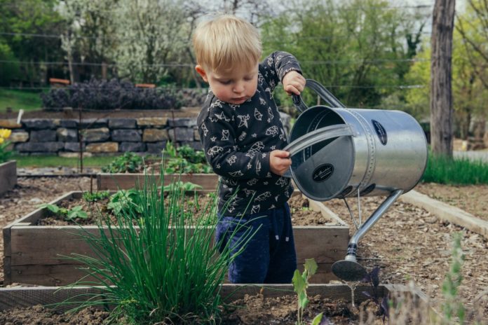 Kids gardening leads to eating veggies