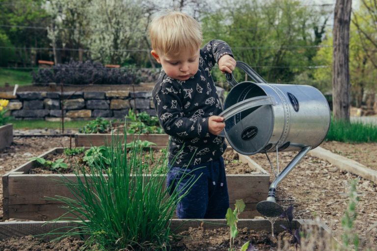 Gardening Leads Kids to Eat Veggies