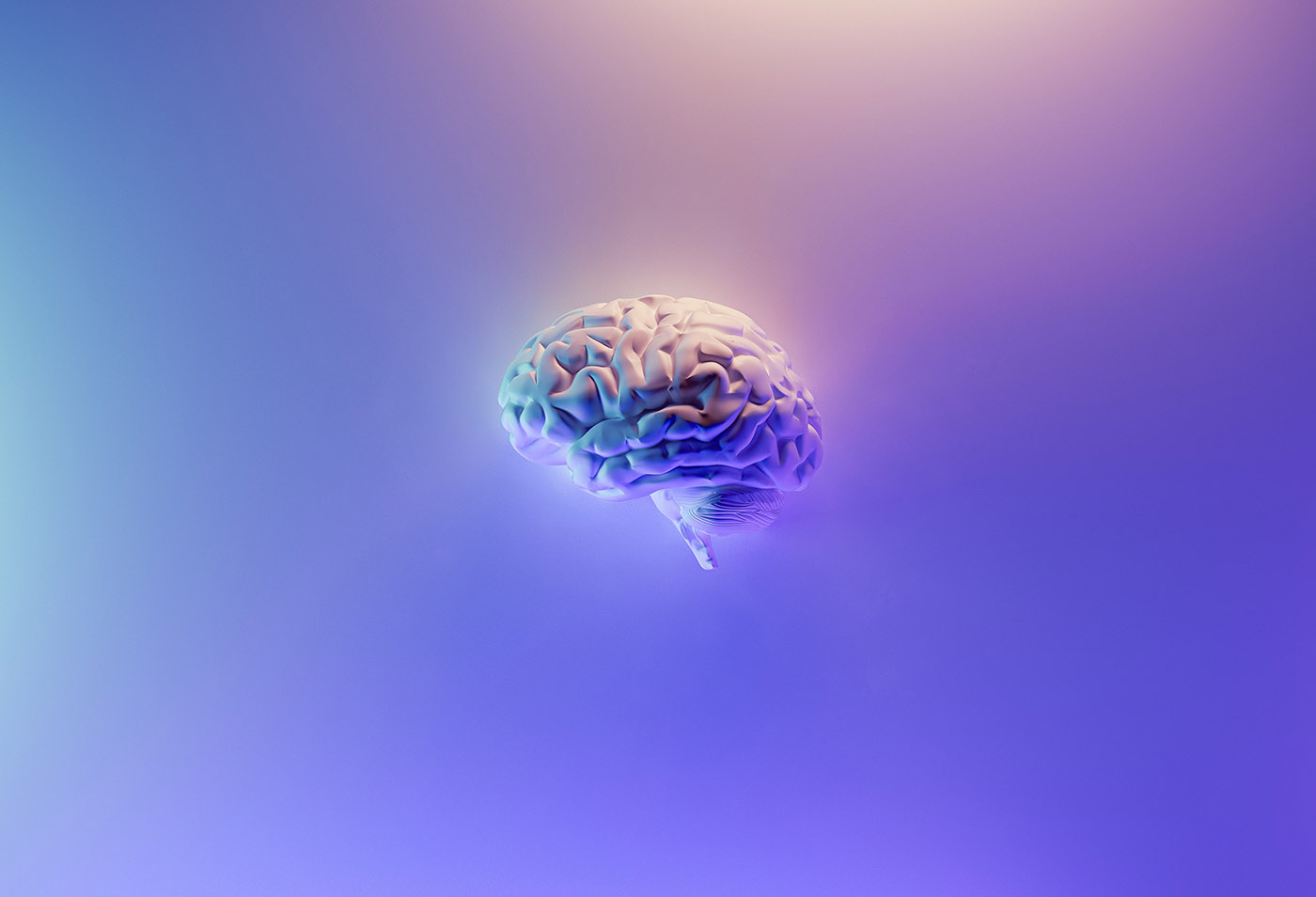 A Stunning 41% of Young Athletes Exhibit Signs of CTE - Kidzu